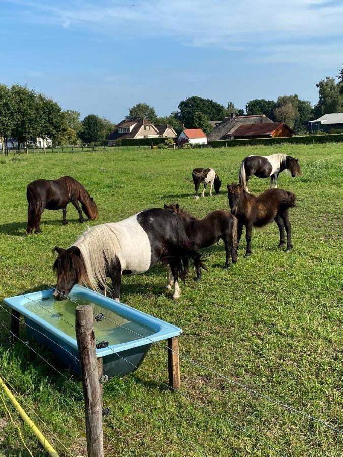 La Vita Veluwe Wapenveld Eksteriør billede