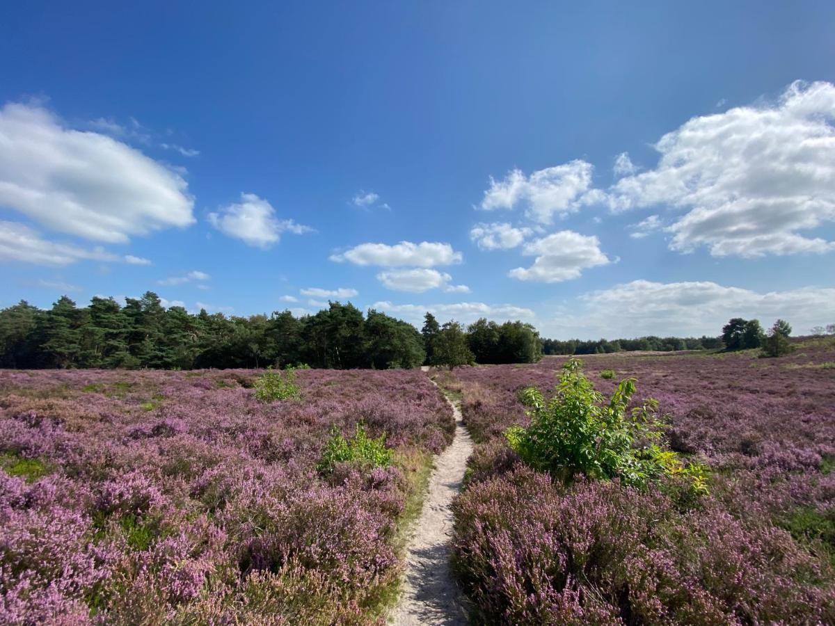 La Vita Veluwe Wapenveld Eksteriør billede