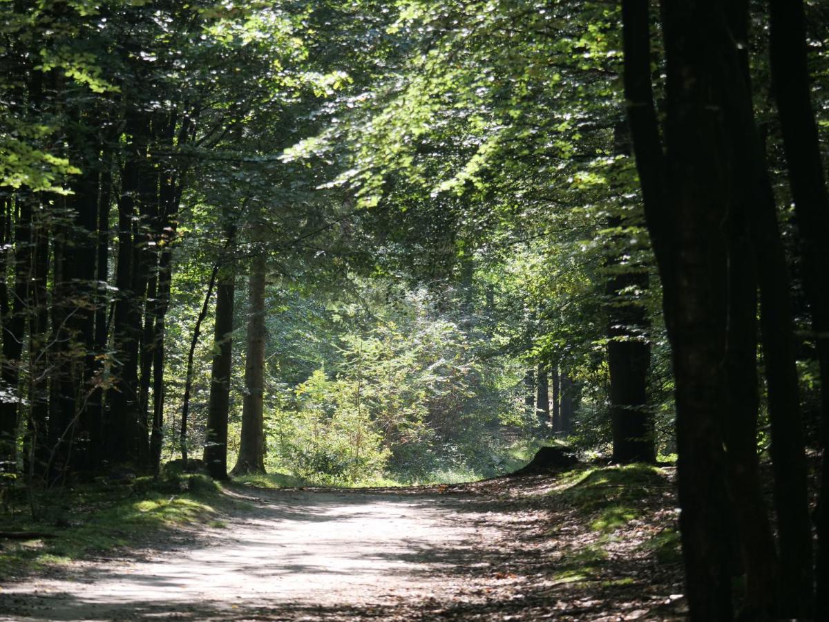 La Vita Veluwe Wapenveld Eksteriør billede